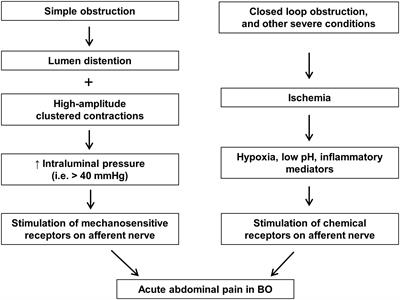 Severe colicky abdominal pain cheap